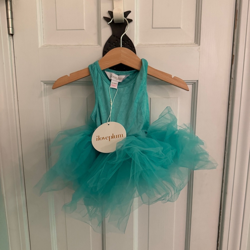 iLovePlum Aqua Tutu Dress for Kids